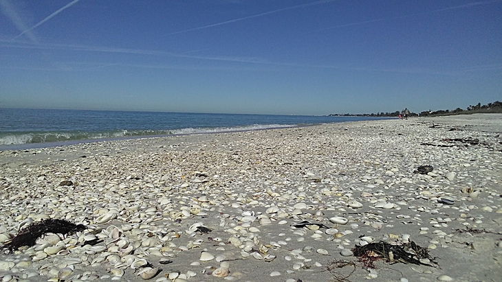 Florida surf report photo taken and posted on January 07 2020, 11:00 West Central Florida Gulf Surf Report Photography. Featuring photographs from standout surfing spots along the Gulf Coast. Photo taken and posted on January 07 2020, 11:00