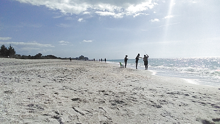 Florida surf report photo taken and posted on January 16 2020, 14:01 West Central Florida Gulf Surf Report Photography. Featuring photographs from standout surfing spots along the Gulf Coast. Photo taken and posted on January 16 2020, 14:01
