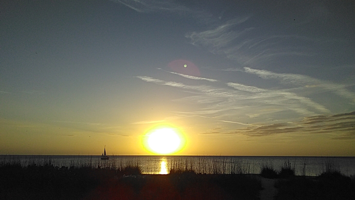 Florida surf report photo taken and posted on January 17 2020, 18:00 West Central Florida Gulf Surf Report Photography. Featuring photographs from standout surfing spots along the Gulf Coast. Photo taken and posted on January 17 2020, 18:00