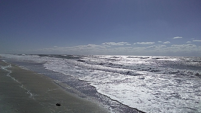 Florida surf report photo taken and posted on January 21 2020, 20:52 West Central Florida Gulf Surf Report Photography. Featuring photographs from standout surfing spots along the Gulf Coast. Photo taken and posted on January 21 2020, 20:52
