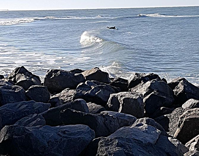 Florida surf report photo taken and posted on January 22 2020, 09:30 West Central Florida Gulf Surf Report Photography. Featuring photographs from standout surfing spots along the Gulf Coast. Photo taken and posted on January 22 2020, 09:30