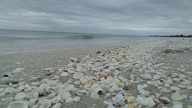 Florida surf report photo taken and posted on January 27 2020, 12:31 West Central Florida Gulf Surf Report Photography. Featuring photographs from standout surfing spots along the Gulf Coast. Photo taken and posted on January 27 2020, 12:31