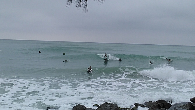 Florida surf report photo taken and posted on January 30 2020, 13:02 West Central Florida Gulf Surf Report Photography. Featuring photographs from standout surfing spots along the Gulf Coast. Photo taken and posted on January 30 2020, 13:02