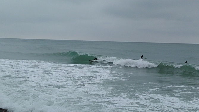 Florida surf report photo taken and posted on January 30 2020, 13:00 West Central Florida Gulf Surf Report Photography. Featuring photographs from standout surfing spots along the Gulf Coast. Photo taken and posted on January 30 2020, 13:00