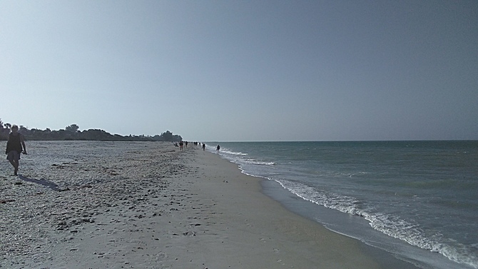 Florida surf report photo taken and posted on February 13 2020, 10:01 West Central Florida Gulf Surf Report Photography. Featuring photographs from standout surfing spots along the Gulf Coast. Photo taken and posted on February 13 2020, 10:01