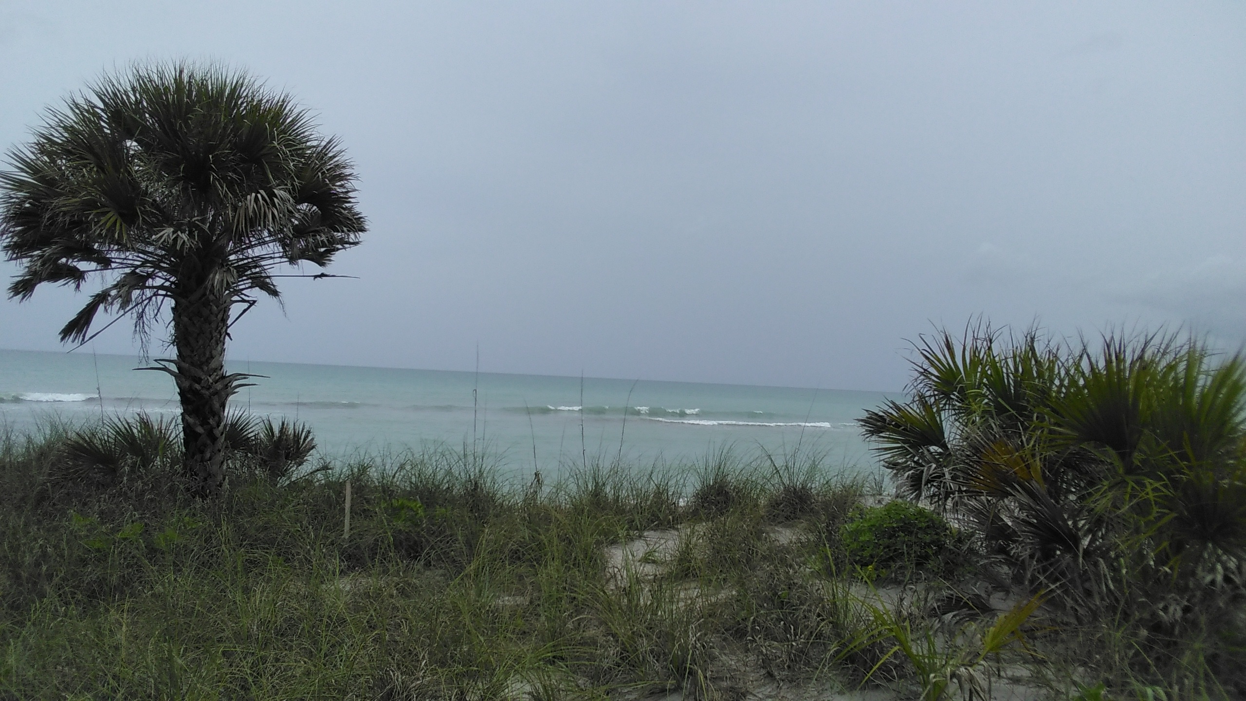 Florida surf report photo taken and posted on June 05 2020, 14:14 West Central Florida Gulf Surf Report Photography. Featuring photographs from standout surfing spots along the Gulf Coast. Photo taken and posted on June 05 2020, 14:14